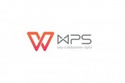 wps office 专业版永久激活码最新分享 wps office 专业版永久激活码2022最新一览 